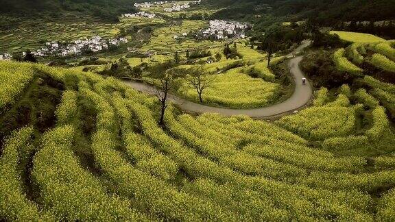 江陵油菜籽梯田鸟瞰图