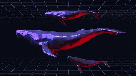 摘要铬金属游泳群鲸鱼黑色背景现代明亮时尚的3d动画技术数字生动动物创意复古未来主义运动艺术