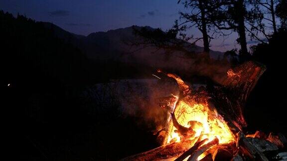 在阿尔泰加顿河畔的一个旅游营地篝火的夜间视频