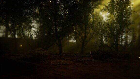 萤火虫在雾蒙蒙的森林里