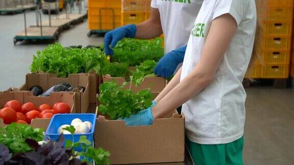 一名妇女和一名男子身着志愿者t恤为贫困家庭捐赠蔬菜食物parsel