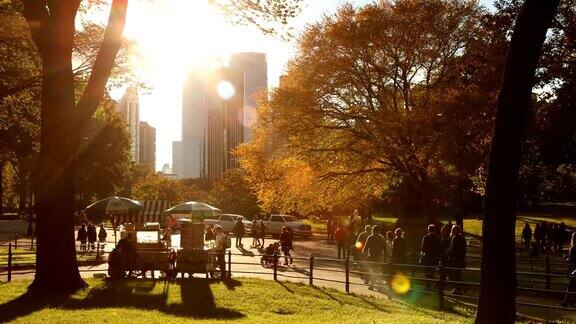 纽约中央公园秋天的午后