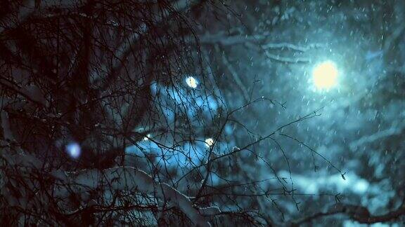 夜晚降雪的背景是树和一盏路灯