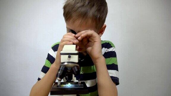 一个穿着条纹t恤的男孩在显微镜下检查植物的各个部分
