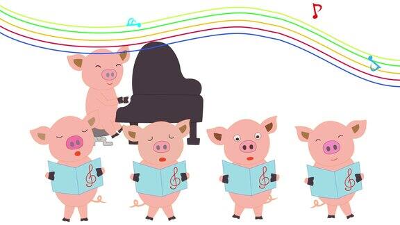 猪音乐会