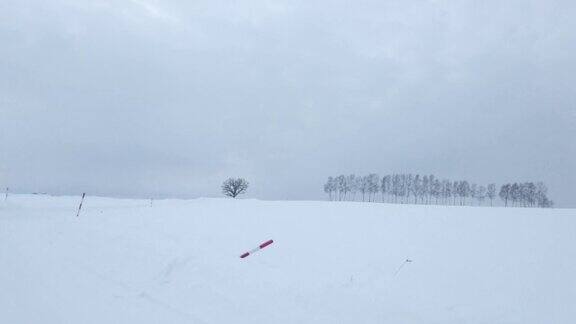 白雪覆盖的道路(Biei北海道)
