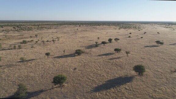 4K空中倾斜视角的非洲大草原纳米比亚