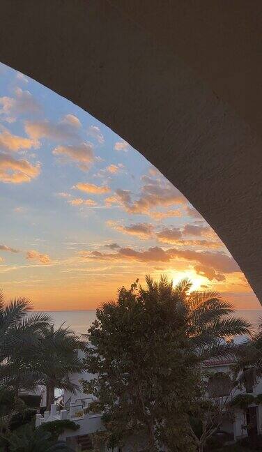 从豪华酒店的阳台欣赏海景休息旅行度假杂志放松清晨棕榈树的海景