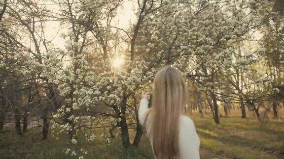 迷人的年轻女子穿着毛衣牛仔裤在花苹果树跳舞和纺纱夕阳春天的果园和绿色的田野缓慢的运动