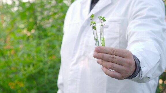 研究人员展示了带有绿色芽的试管