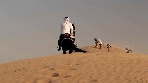 阿拉伯骑马者在迪拜的沙漠上