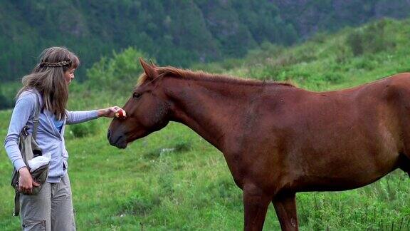 女孩用手喂一匹漂亮的马