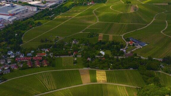 德国内卡萨尔姆市周围葡萄园的鸟瞰图