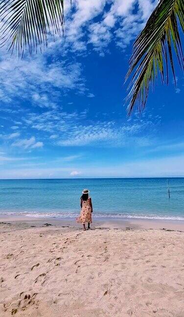 泰国KohKood岛的热带海滩上有棕榈树