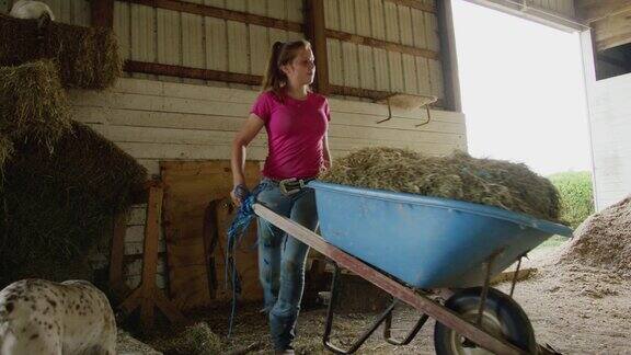 一个二十多岁的年轻女人从干草堆里捡起一捆干草放在农场谷仓里的手推车里