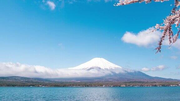 山中湖上的富士山蓝天映衬下的樱花