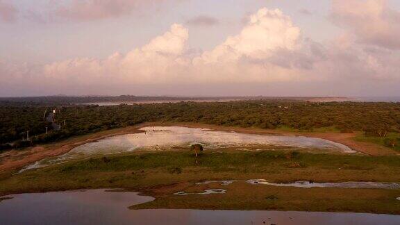 来自斯里兰卡南部的海岸湿地