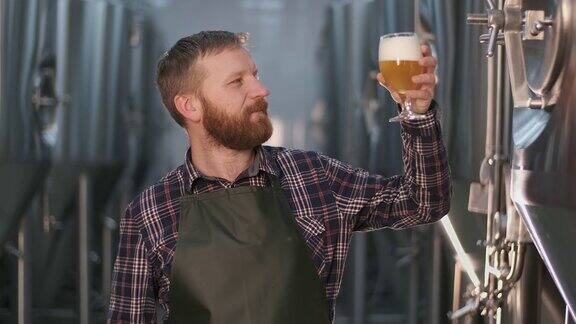 肖像一名男性酿酒师站在啤酒厂的啤酒罐里检查刚酿造的啤酒的颜色
