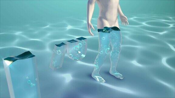 3D人体中的水分百分比4k超高清的