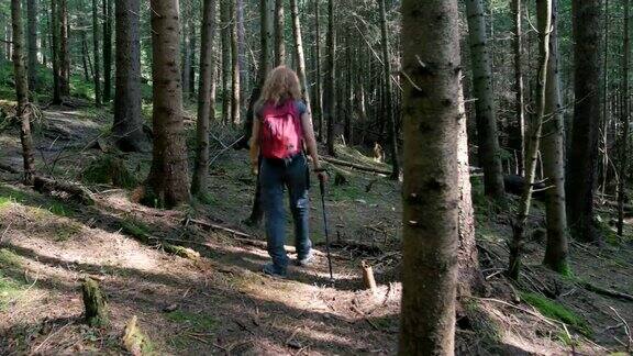 年轻女子在森林里徒步旅行
