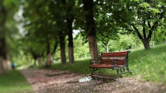 公园里空闲的休息长椅