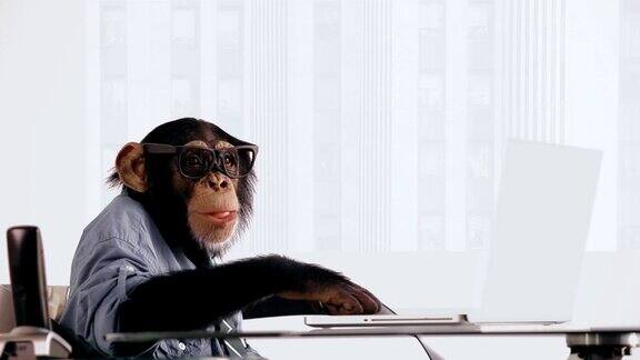 黑猩猩笔记本快乐