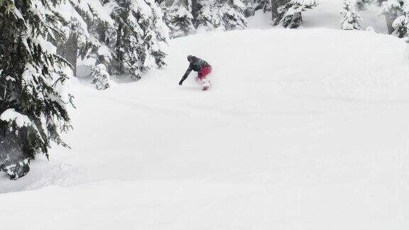 滑雪滑下滑雪坡骑板穿红裤子黑夹克飞粉末雪花向相机-冬季运动