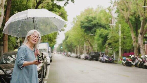 一个雨天一位老妇人在城市里等出租车