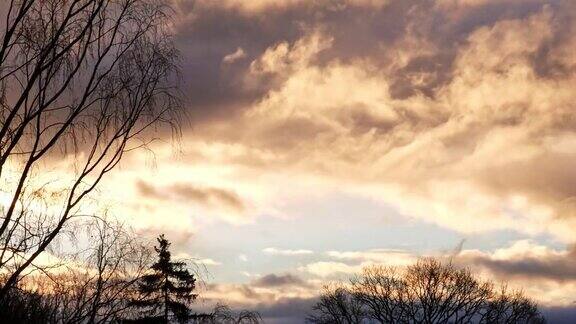 金色日出期间多云的清晨天空