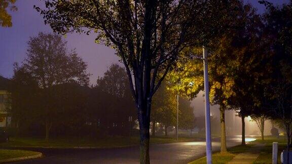 道路夜雾城市交通夜间道路与路灯在雾