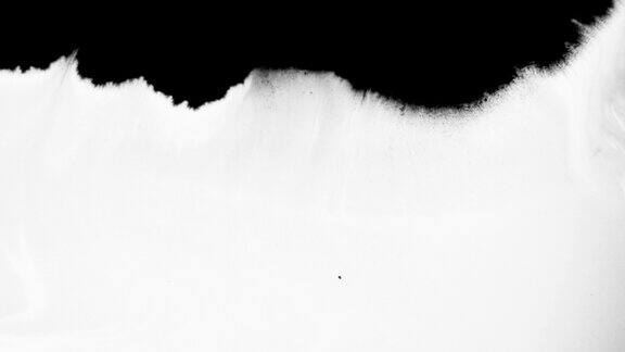 黑墨与漆滴过渡一套抽象艺术染料飞溅滴落和蔓延在白色的背景墨水流血绽开滴落油墨掩盖效应溢出的黑色水粉形成水彩漩涡创造性的染料注入