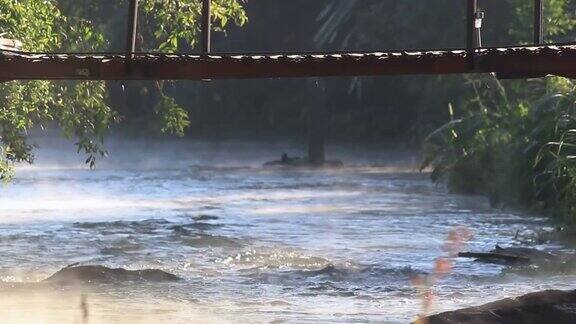 清新的河水缓缓流过天然的岩滩清晨蒸发竹桥横跨河上