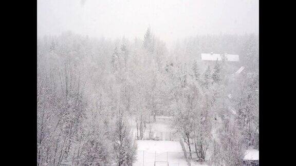 公园里大雪纷飞树木被雪覆盖孤独、寂寞、忧伤