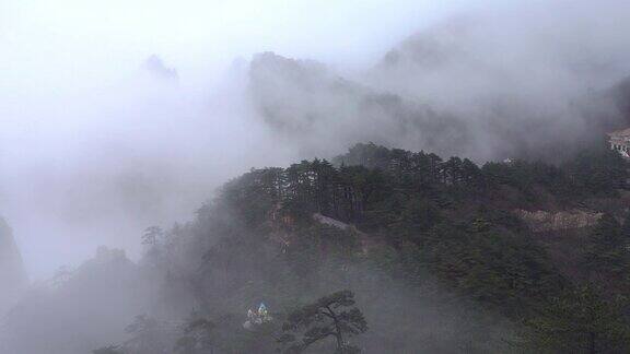 黄山山(黄色)