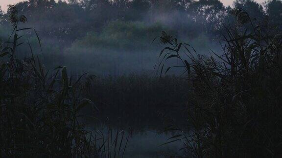 雾湖面上有雾