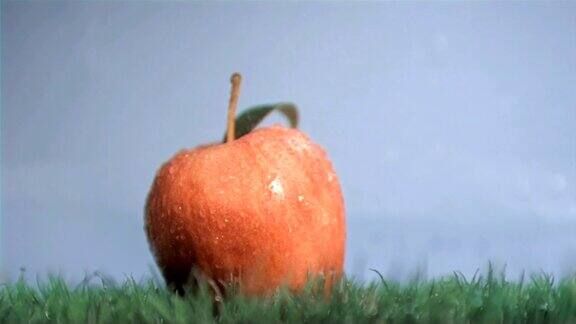 苹果在雨中以超慢的动作放置