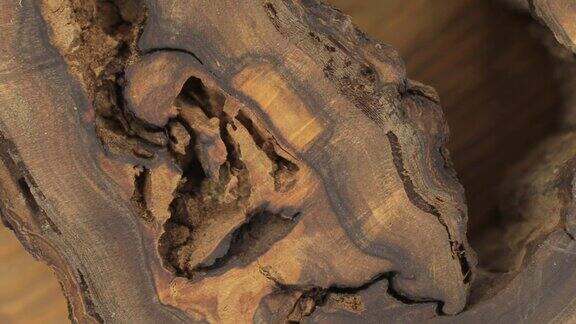 特写旋转的胡桃木纹理非常不寻常空虚、孔洞、裂缝