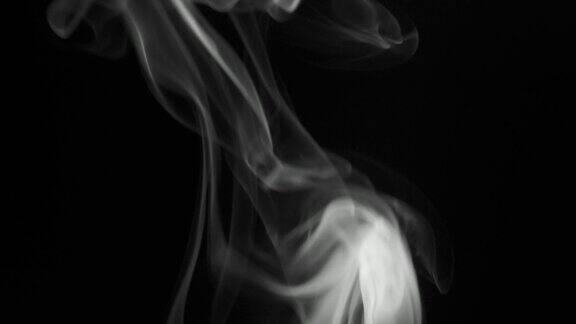 细细的灰烟缓缓升起优雅地盘旋向上黑色和白色的雪茄烟雾从底部吹到顶部特写孤立在黑色背景上