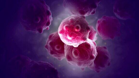一束紫色癌细胞的近距离图像