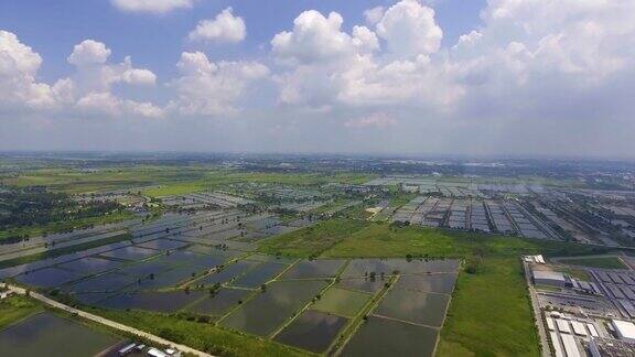 鸟瞰图的水稻农场与水准备阶段
