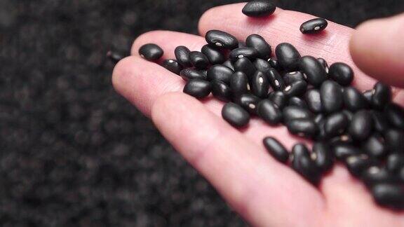 黑豆从手里掉到一堆的特写