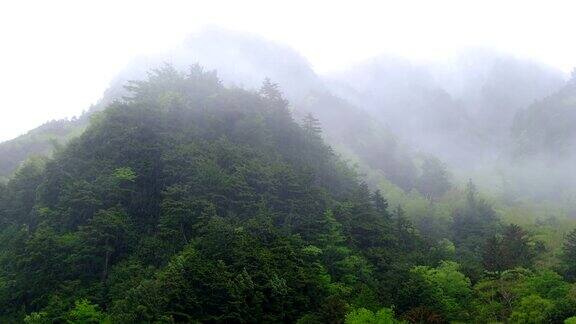 六月初上高知县多雨的山景雾蒙蒙的600山和三本雅里