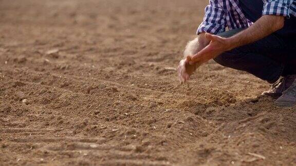 农民在新鲜耕地上检查土壤质量