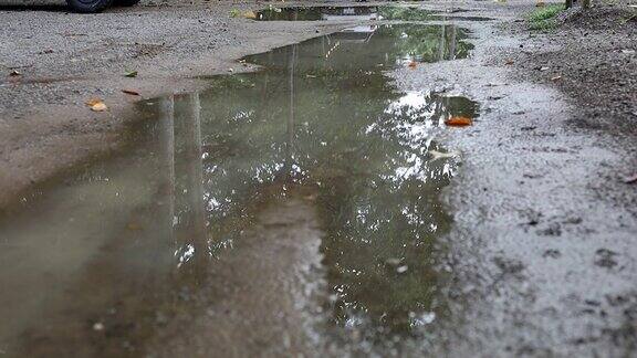 近距离看地面上的雨水