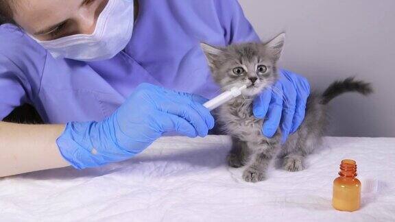 兽医给小猫吃药小猫转身离开注射器