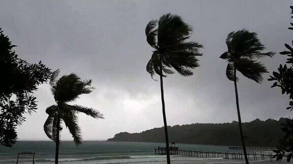 在暴风雨剪影棕榈树和云的傍晚的黑暗热带海滩的时间流逝