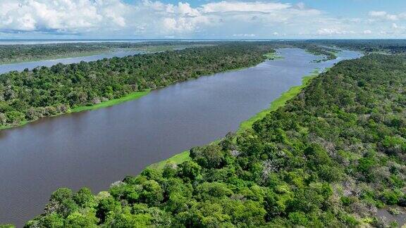 巴西亚马孙亚马逊森林的亚马逊河景观