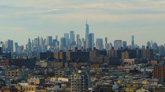 曼哈顿下城的自由塔从布什维克俯瞰纽约布鲁克林住宅区的景色鸟儿在天空中飞翔无人机视频与摄像机向前运动