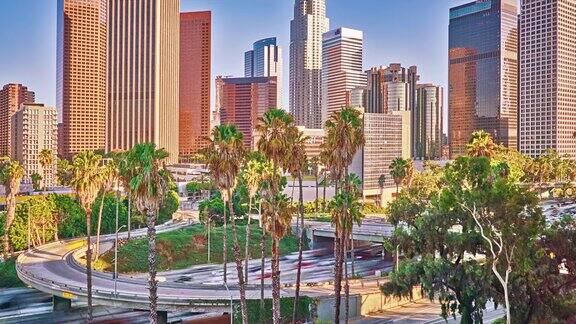 洛杉矶商业区棕榈树概念视图
