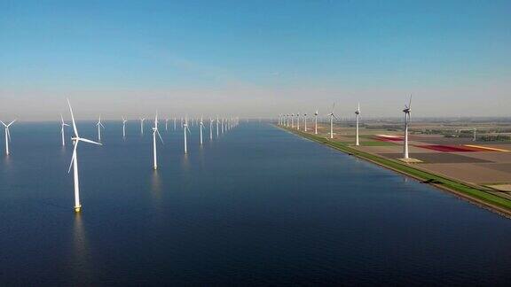在荷兰五彩缤纷的郁金香田和海上产生绿色能源的风车涡轮机